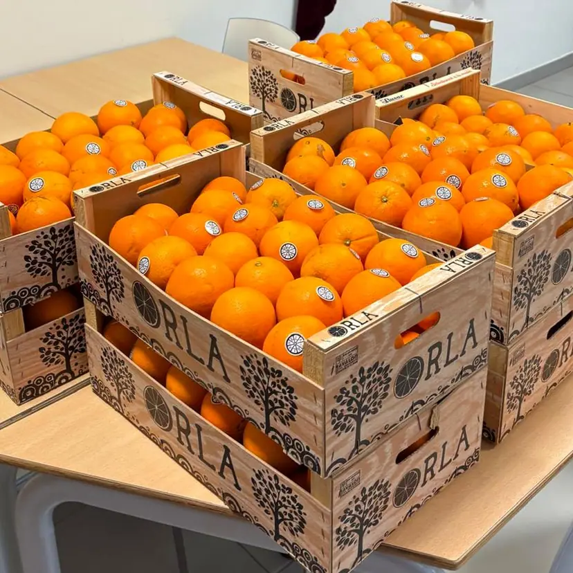 Citrus op zijn best